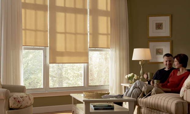 Explore Varied Styles and Designs for Your Ideal Roller Blinds